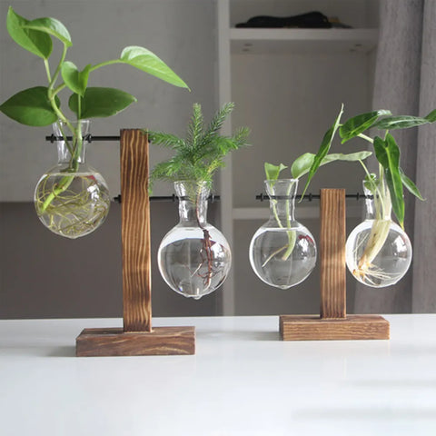 Vase en bois pour plantes en hydroponie