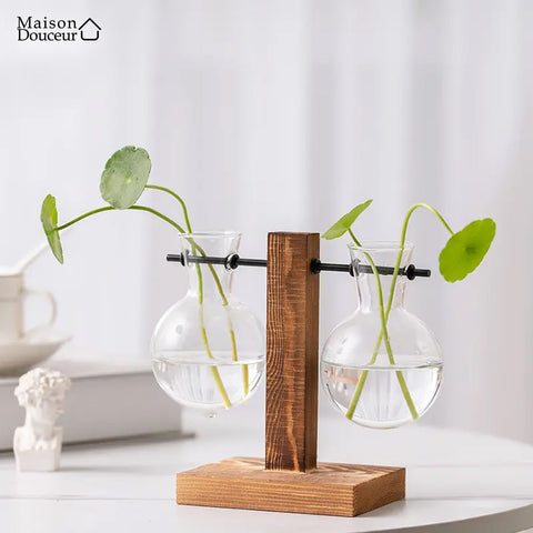 Vase en bois pour plantes en hydroponie