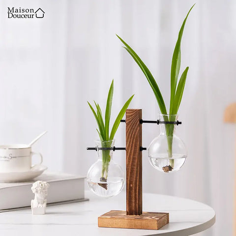 Vase en bois pour plantes en hydroponie